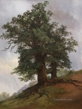 古いオーク 1866 年の古典的な風景 Ivan Ivanovich の木 Oil Paintings